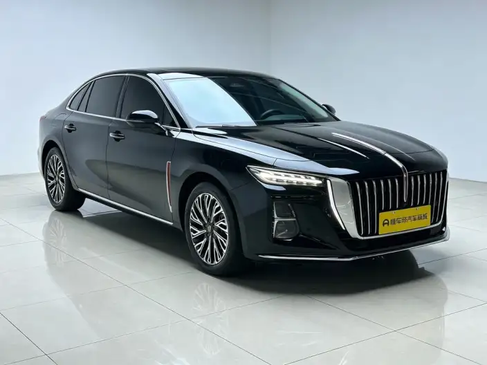 Hongqi H5 2024 Model 2.0T Automatic Flag Enjoy Edition – фото 3