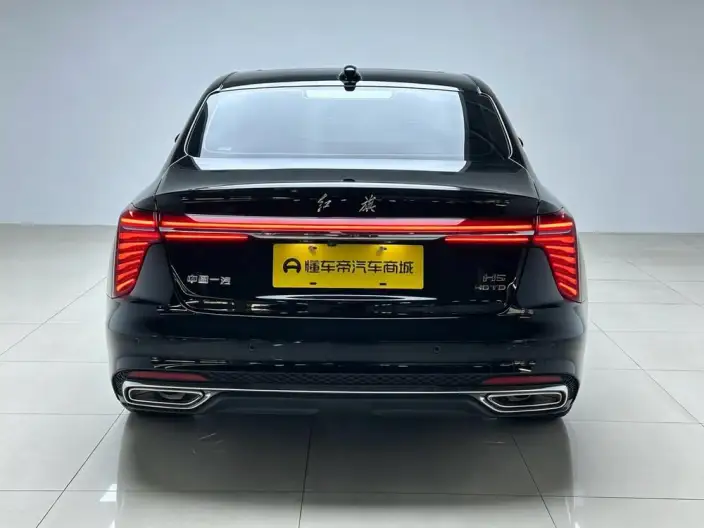 Hongqi H5 2024 Model 2.0T Automatic Flag Enjoy Edition – фото 6