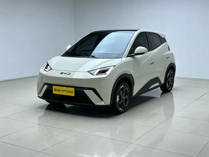 BYD Seagull 2025 Model 305KM Free Edition – фото 1
