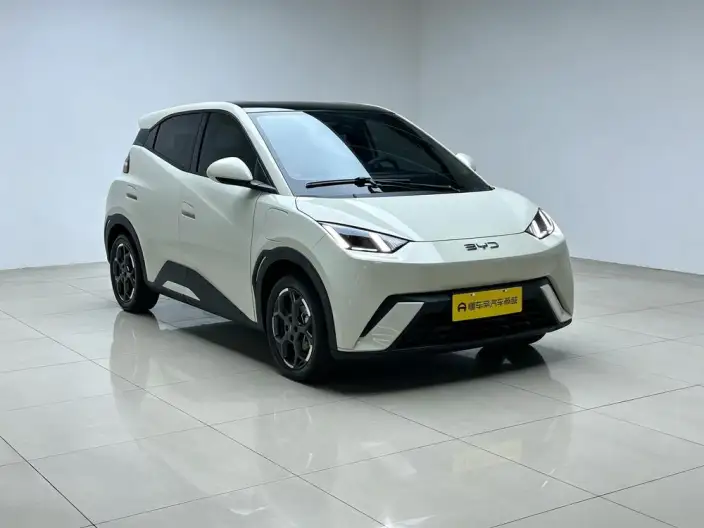 BYD Seagull 2025 Model 305KM Free Edition – фото 3