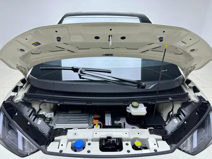 BYD Seagull 2025 Model 305KM Free Edition – фото 10