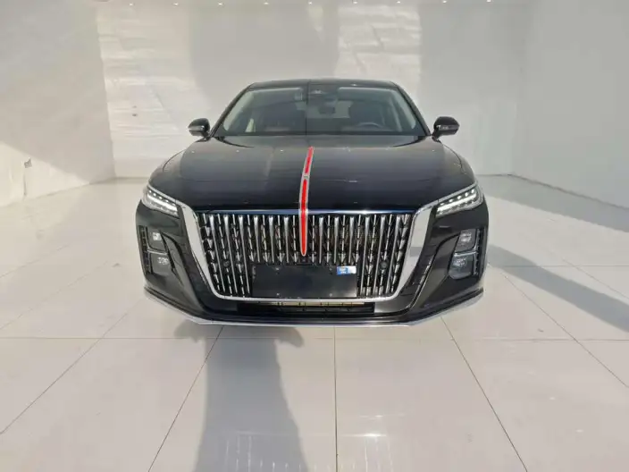 Hongqi H5 2023 Model 2.0T Automatic Flag Enjoy Edition – фото 2