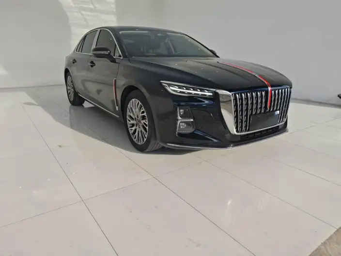 Hongqi H5 2023 Model 2.0T Automatic Flag Enjoy Edition – фото 3