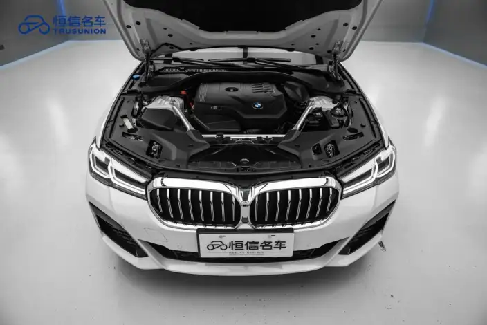 BMW 5 Series 2022 Model 530Li Leading Model M Sports Set – фото 8