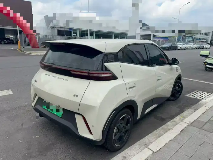 BYD Seagull 2023 Model Feixiang Edition – фото 6