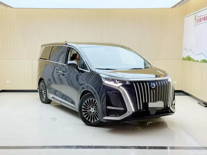 Denza D9 EV 2022 Model 600 4WD Flagship Model – фото 3