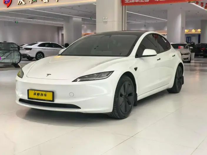 Model 3 2025 Model Long Battery Life Pro All-wheel drive version – фото 1