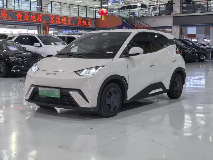 BYD Seagull 2024 Model Honor Edition 305KM Vitality Edition – фото 1