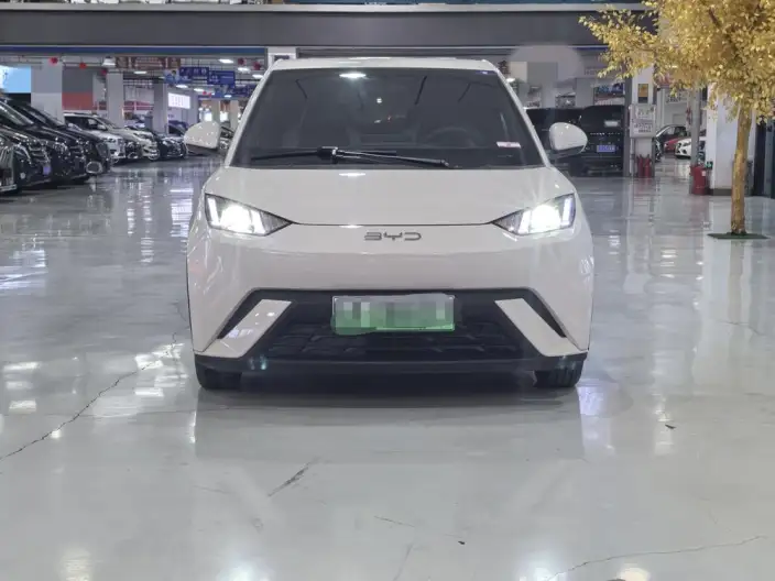 BYD Seagull 2024 Model Honor Edition 305KM Vitality Edition – фото 2