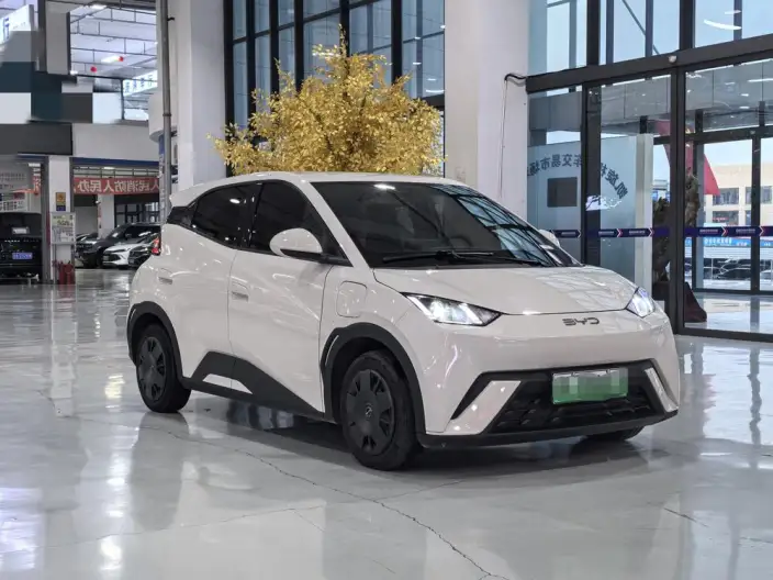 BYD Seagull 2024 Model Honor Edition 305KM Vitality Edition – фото 3