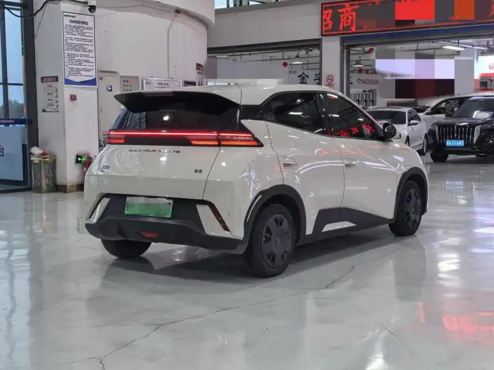 BYD Seagull 2024 Model Honor Edition 305KM Vitality Edition – фото 6