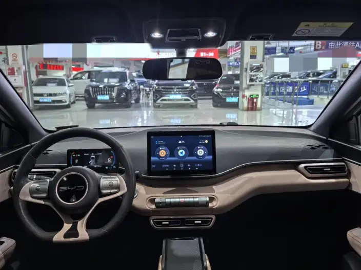BYD Seagull 2024 Model Honor Edition 305KM Vitality Edition – фото 8