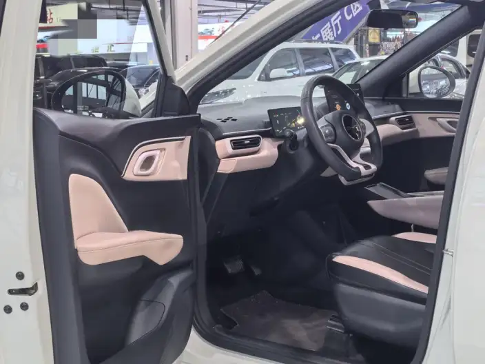 BYD Seagull 2024 Model Honor Edition 305KM Vitality Edition – фото 9