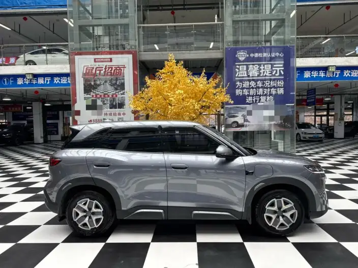 Yuan UP 2025 Model Smart Driving Edition 401KM Vitality Edition – фото 7