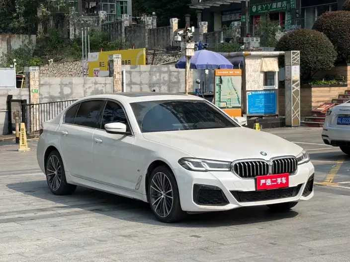 BMW 5 Series 2023 Model 530Li xDrive M Sports Set – фото 3