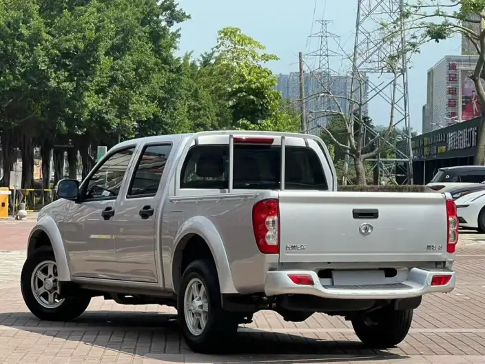 Wingle 5 2023 Model 2.0T Diesel 2WD Elite Model Big double GW4D20M – фото 4