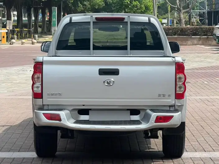 Wingle 5 2023 Model 2.0T Diesel 2WD Elite Model Big double GW4D20M – фото 5