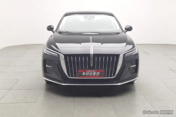 Hongqi H5 2024 Model 2.0T Automatic Flag Enjoy Edition – фото 26