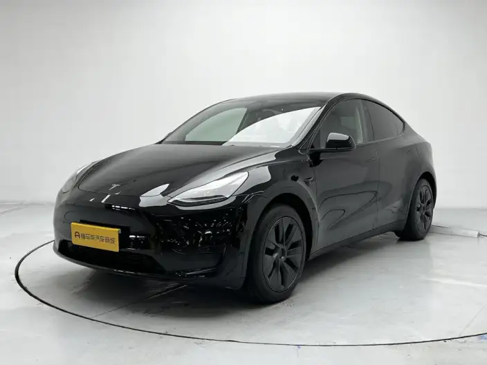 Model Y 2023 Model Rear-wheel drive version – фото 1