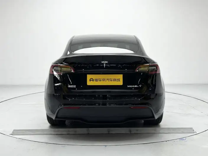 Model Y 2023 Model Rear-wheel drive version – фото 6
