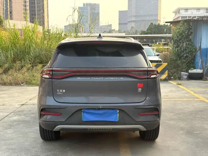 BYD Tang DM 2023 Model DM-i Champion Edition 112KM Exclusive Model – фото 4