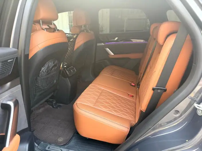 BYD Tang DM 2023 Model DM-i Champion Edition 112KM Exclusive Model – фото 8