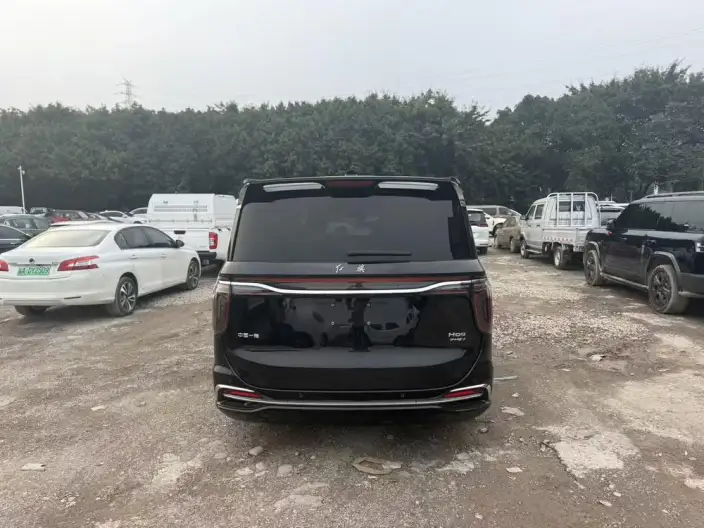 HONGQI HQ9 PHEV 2024 Model 4WD Business Edition – фото 4