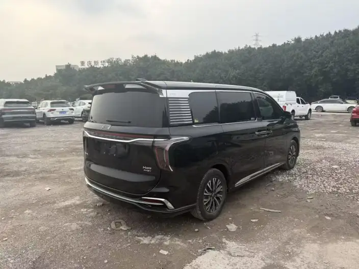 HONGQI HQ9 PHEV 2024 Model 4WD Business Edition – фото 5