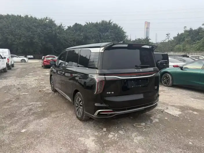 HONGQI HQ9 PHEV 2024 Model 4WD Business Edition – фото 6