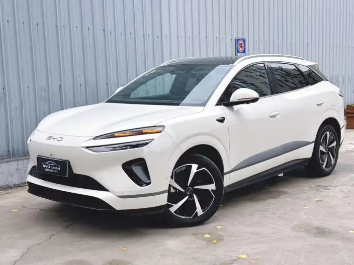 Sea Lion 06DM 2025 Model DM-i 205KM Pilot Plus Edition – фото 1