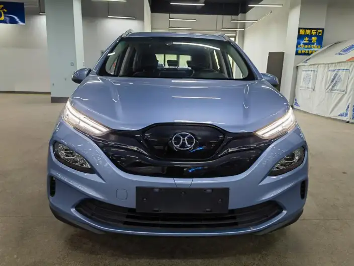 BIAC EX3 2019 Model R600 Jinshang Edition – фото 2