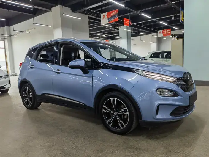 BIAC EX3 2019 Model R600 Jinshang Edition – фото 3
