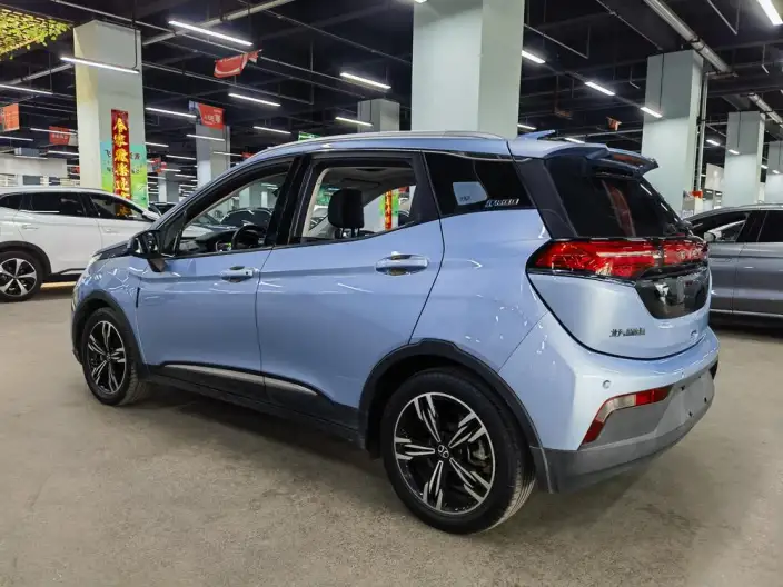 BIAC EX3 2019 Model R600 Jinshang Edition – фото 4