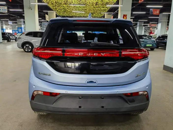 BIAC EX3 2019 Model R600 Jinshang Edition – фото 5