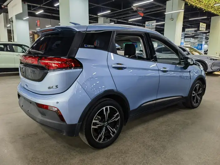 BIAC EX3 2019 Model R600 Jinshang Edition – фото 6