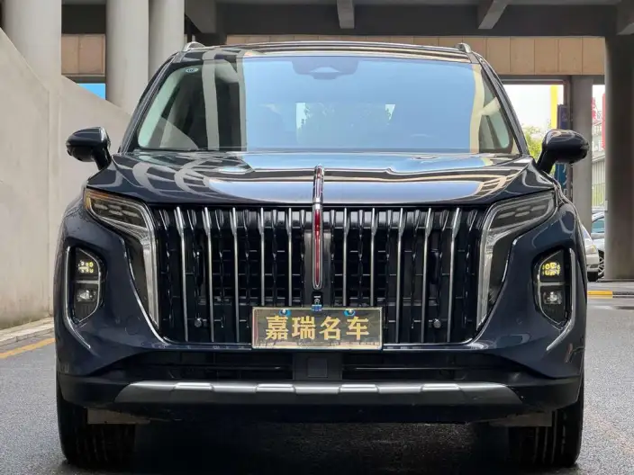 Hongqi HS7 2023 Model 2.0T 4WD Flag Ling Edition 6 seat – фото 2