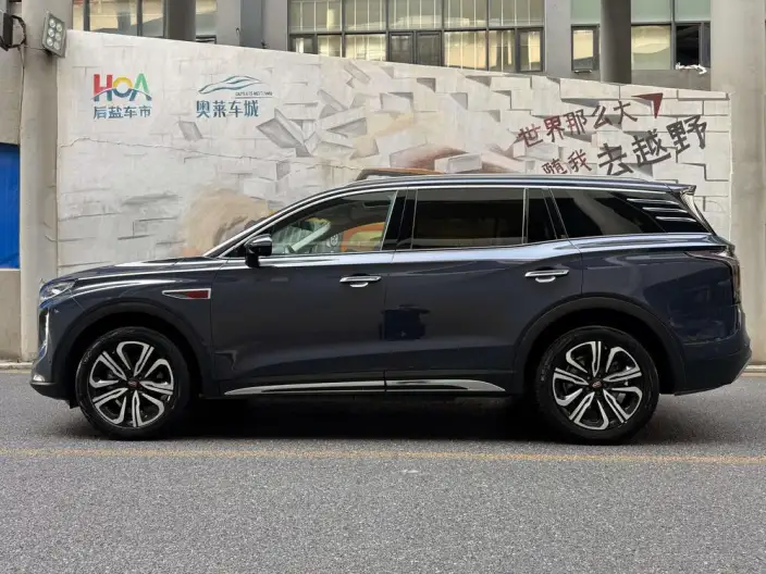 Hongqi HS7 2023 Model 2.0T 4WD Flag Ling Edition 6 seat – фото 3
