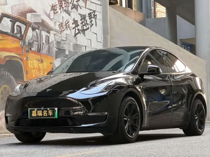 Model Y 2021 Model Standard Battery Life Rear-wheel drive version – фото 1