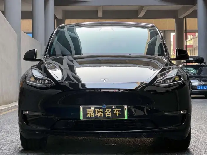Model Y 2021 Model Standard Battery Life Rear-wheel drive version – фото 2