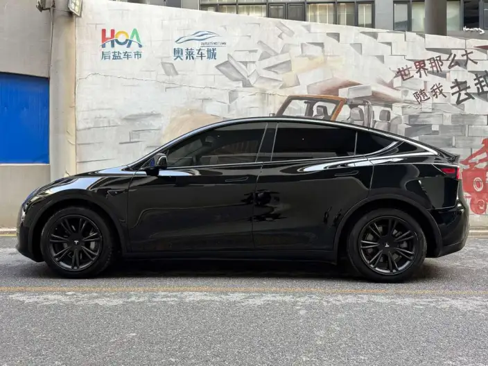 Model Y 2021 Model Standard Battery Life Rear-wheel drive version – фото 3