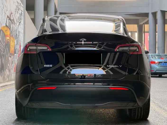 Model Y 2021 Model Standard Battery Life Rear-wheel drive version – фото 4