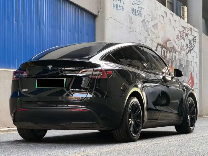 Model Y 2021 Model Standard Battery Life Rear-wheel drive version – фото 5