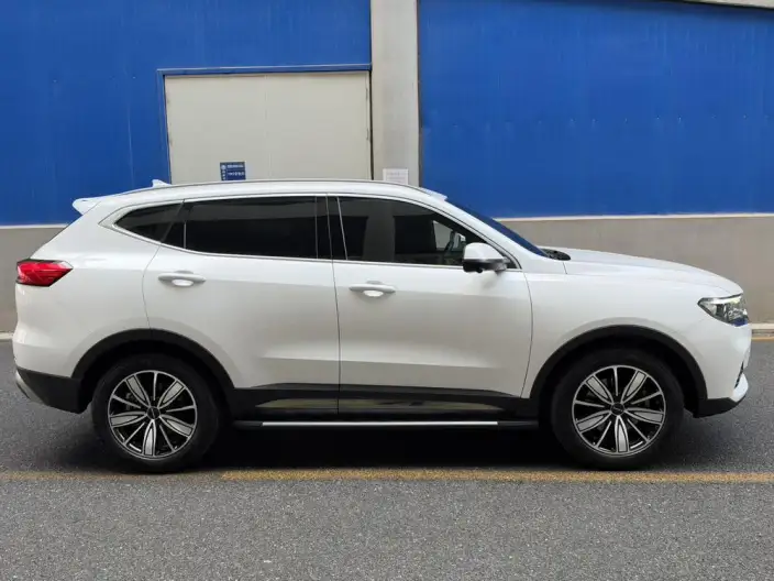 Haval H6 2023 Model Guo Trendy Edition 1.5T Automatic Champion Edition – фото 7