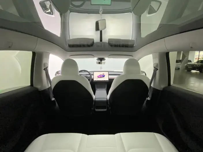 Model Y 2024 Model Rear-wheel drive version – фото 31