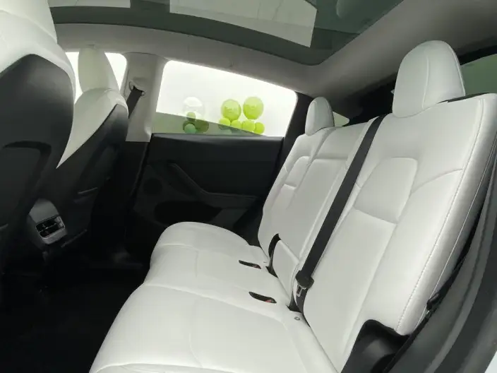 Model Y 2024 Model Rear-wheel drive version – фото 36