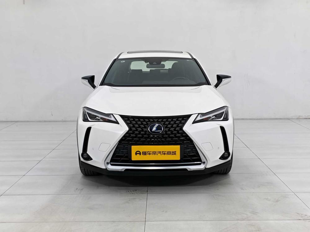 Lexus UX EV 2020 300e Pure Joy