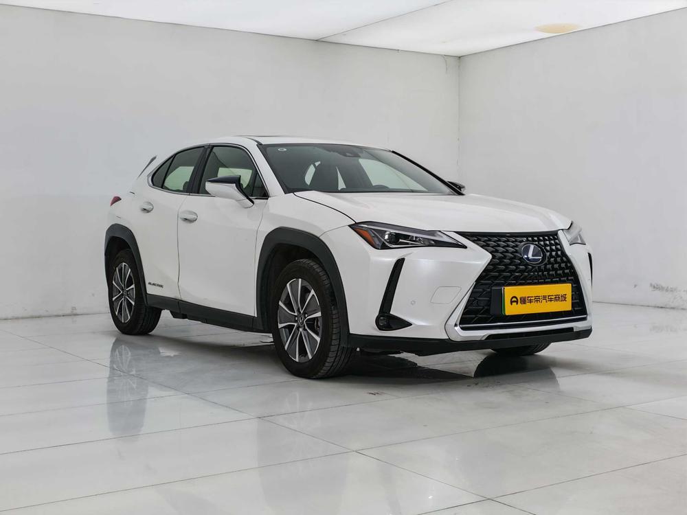 Lexus UX EV 2020 300e Pure Joy