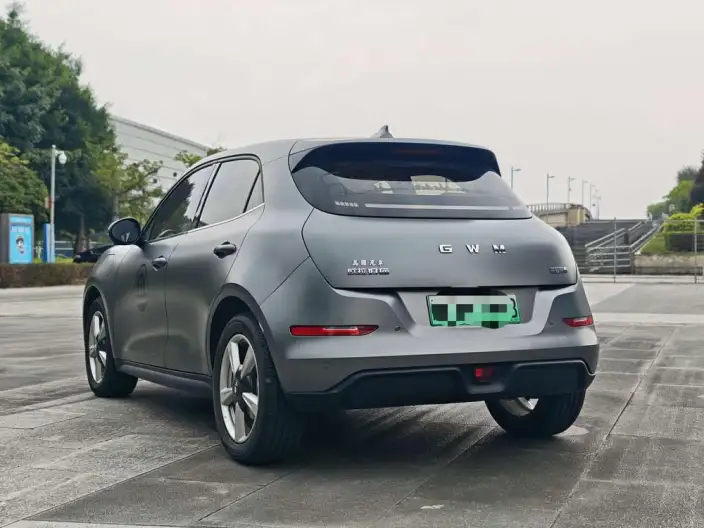 ORA Good Cat 2025 Model 430km Zunrong Model – фото 4