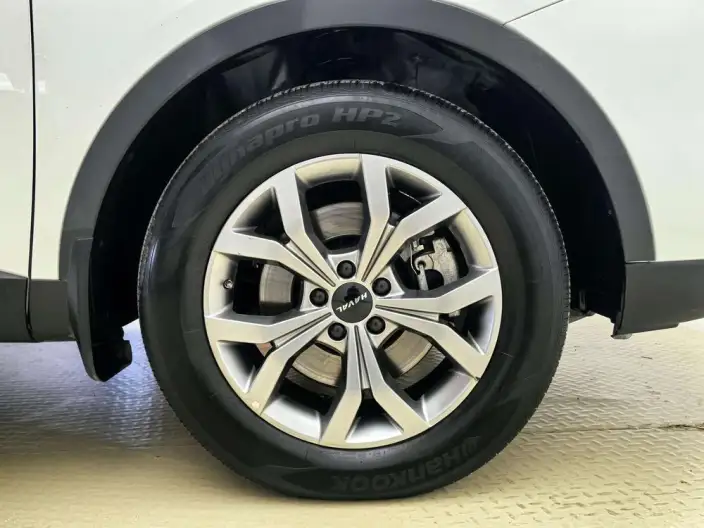 Haval H6 2021 Model Guo Trendy Edition 1.5T Automatic Champion Edition – фото 8