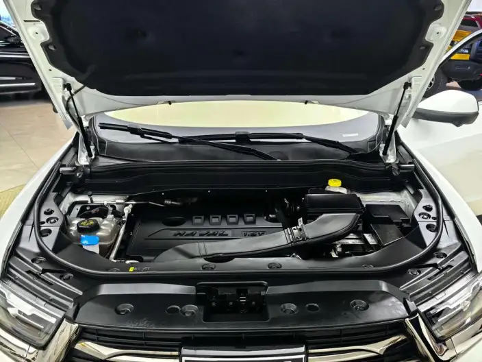 Haval H6 2021 Model Guo Trendy Edition 1.5T Automatic Champion Edition – фото 9